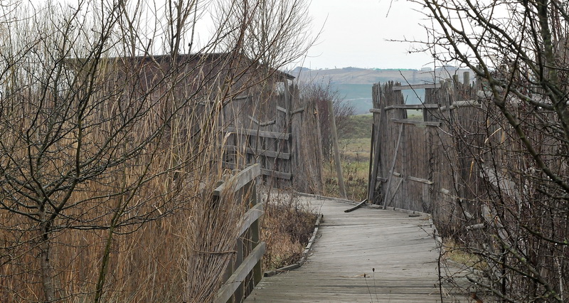 Parco della Piana - Podere della Querciola - Aula didattica